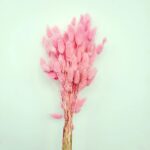 Lagurus roz pastel 70cm