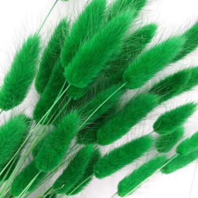 Lagurus verde iarba 70cm