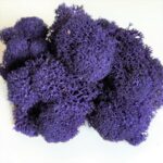 Licheni Canopy Indigo 200g