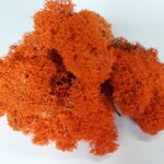 Licheni Canopy Orange Flame 200g