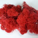 Licheni Canopy RedApple 200g