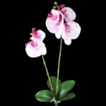 Orhidee artificiala x2 flori ALB-CYCLAM h50cm