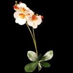 Orhidee artificiala x2 flori CREM h50cm