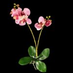 Orhidee artificiala x2 flori ROZ h50cm