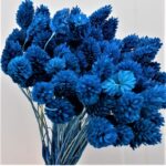 Phalaris albastru intens set 80g