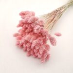 Phalaris roz pastel set 80g