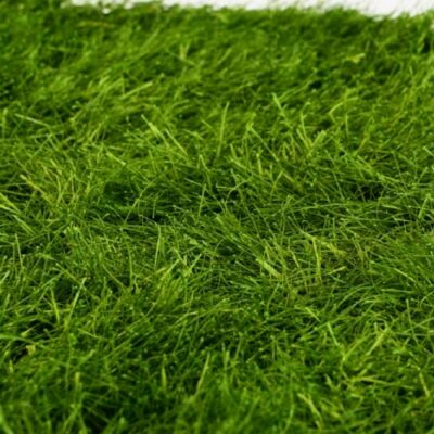 Muschi conservat ARTFLORA FlatGrass - imagine 2