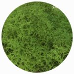 Licheni Canopy GreenGrass 500g - imagine 2