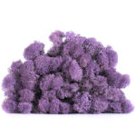 Licheni stabilizati standard Mov Ultra