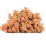 Licheni stabilizati standard Piersica