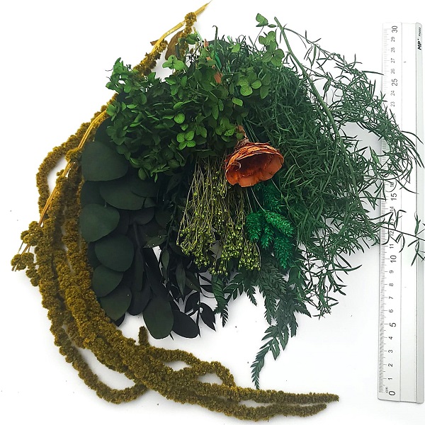 Set plante conservate si uscate Mini Green Pack
