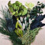 Set plante conservate si uscate Mini Green Pack