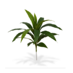 Dracaena tufa artificiala verde H60