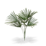 Palmier artificial Raphis UV 60cm