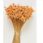 Glixia Marcela Piersica 75g