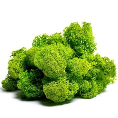 Licheni Canopy GreenApple 200g