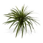 Dracaena marginata tufa artificiala verde H50