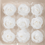 Trandafir criogenat M set x9 alb - imagine 2