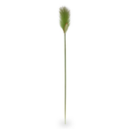 Iarba artificiala Foxtail verde 80cm