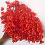 Glixia 50g rosu - imagine 2