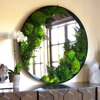 Oglinda cu muschi si plante stabilizate