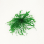 Feriga stabilizata SRT verde iarba 20cm