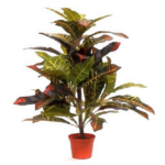 Croton tufa artificiala color h50cm
