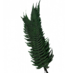 Feriga de piatra stabilizata verde 40cm