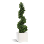 Buxus artificial spirala UV H100 D30 - imagine 5