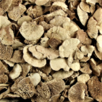 Ciuperci copac uscate decorative albite