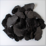 Ciuperci copac uscate decorative negru