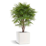 Mimoza copac artificial UV H110 D80 - imagine 3