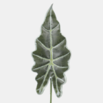 Alocasia frunza artificiala 56cm