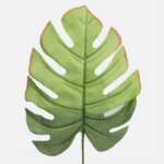 Monstera frunza artificiala bicolor 36cm