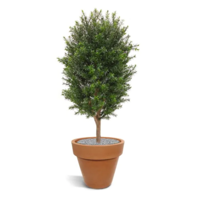 Taxus artificial UV H90 D45 - imagine 5