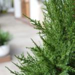 Tuja copac artificial UV H100 D40 - imagine 3