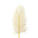 Feriga stabilizata Pteris XL ivoiry set x10