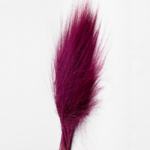 Iarba Barba conservata fuchsia 60cm