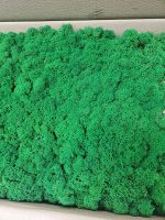 Google Keyword Planner