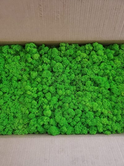 Licheni Canopy GreenApple 500g - imagine 3