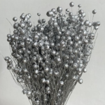 Planta de In argintiu 50cm