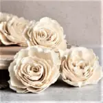 Pachet en-gross Trandafir Ming 4cm Alb Natur 100 buc