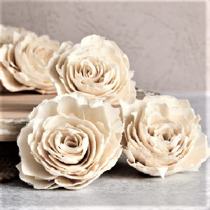 Capete Trandafiri Ming 4cm alb natur set x14