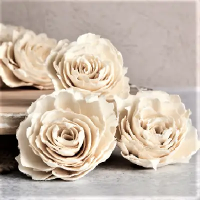 Pachet en-gross Trandafir Ming 4cm Alb Natur 100 buc