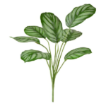 Planta artificiala Maranta h35cm
