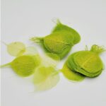 Frunze voal verde mar set 100buc