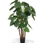 Alocasia_copac_artifical_165cm