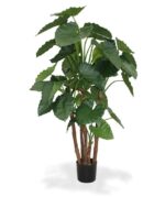 Alocasia_copac_artifical_165cm