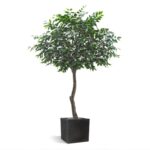 Arbore de cafea artificial 320cm - imagine 2