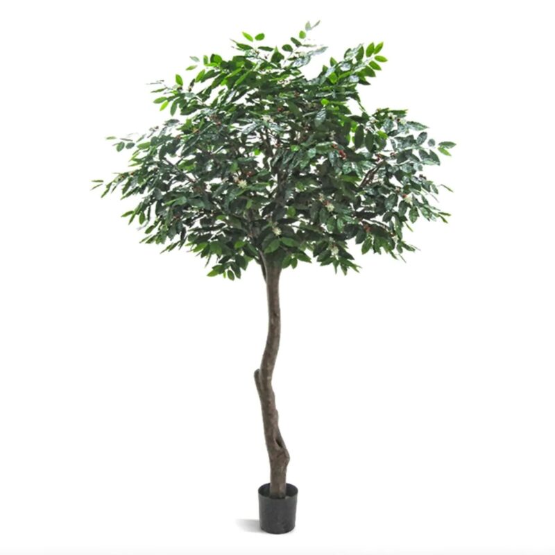 Arbore_de_cafea artificial_320cm_0